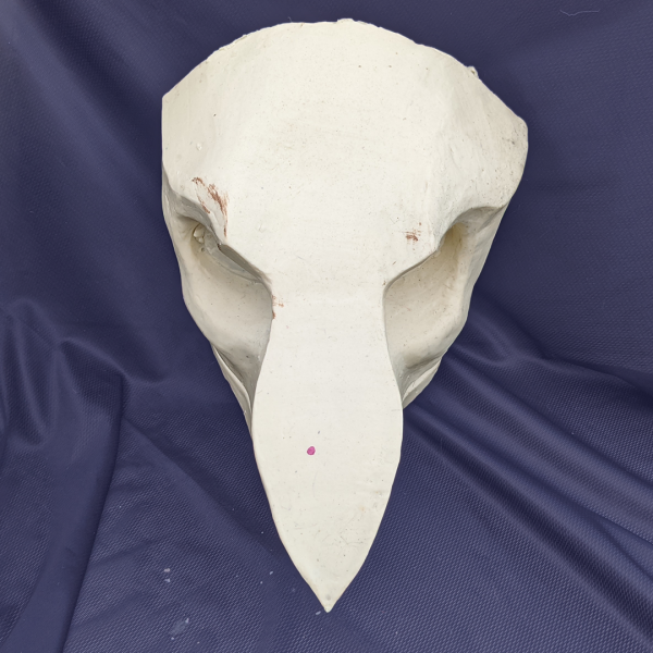 Sergal Head Base W/ Optional Mouth Details - Image 7