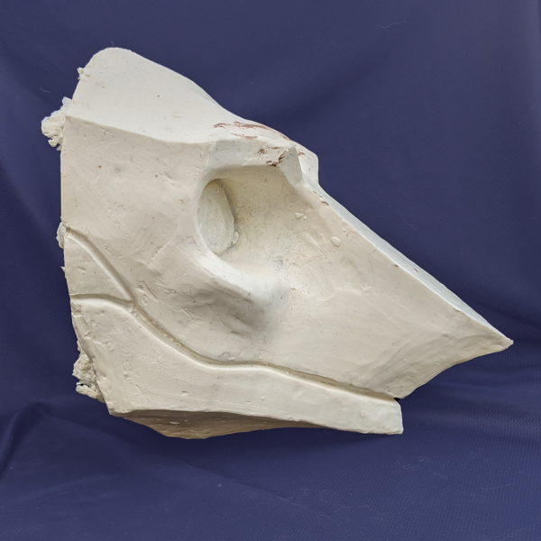 Sergal Head Base W/ Optional Mouth Details - Image 5